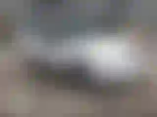 Vehicle Image- 2008 Ford Focus