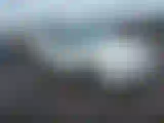 Vehicle Image- 2009 Ford Focus
