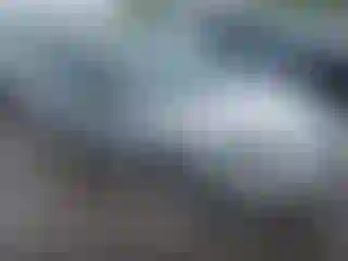 Vehicle Image- 2007 Ford Focus