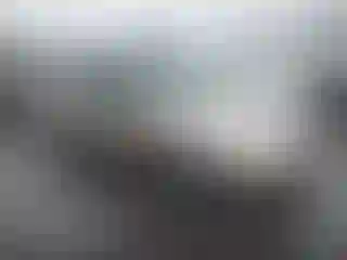 Vehicle Image- 2001 Ford Focus