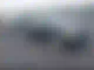 Vehicle Image- 2008 Ford Focus