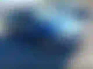 Vehicle Image- 2009 Ford Focus