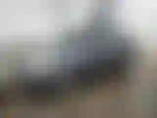 Vehicle Image- 2009 Ford Focus