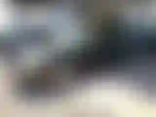 Vehicle Image- 2009 Ford Focus