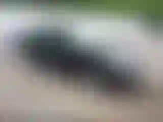 Vehicle Image- 2009 Ford Focus