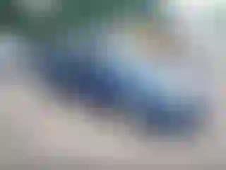 Vehicle Image- 2009 Ford Focus