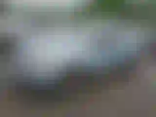 Vehicle Image- 2009 Ford Focus