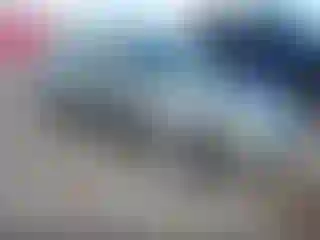 Vehicle Image- 2008 Ford Focus