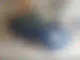 Vehicle Image- 2009 Ford Focus