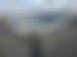 Vehicle Image- 2009 Ford Focus