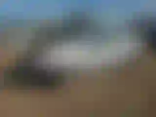 Vehicle Image- 2008 Ford Focus