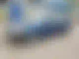 Vehicle Image- 2008 Ford Focus