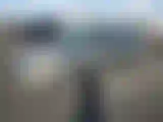 Vehicle Image- 2008 Ford Focus