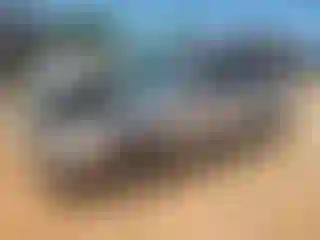 Vehicle Image- 2008 Ford Focus