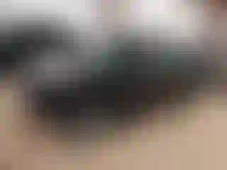 Vehicle Image- 2008 Ford Focus