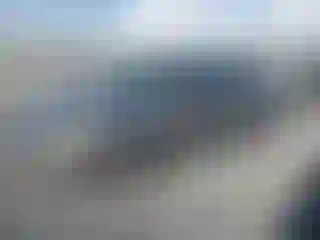 Vehicle Image- 2008 Ford Focus