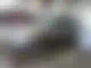 Vehicle Image- 2008 Ford Focus