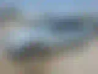 Vehicle Image- 2009 Ford Focus