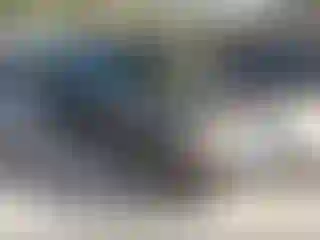 Vehicle Image- 2009 Ford Focus