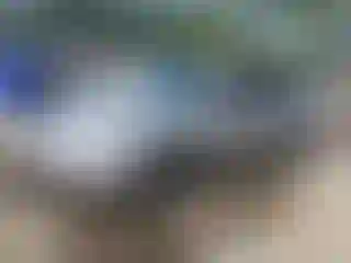 Vehicle Image- 2008 Ford Focus