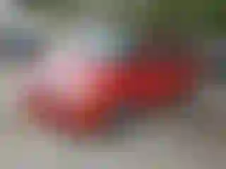 Vehicle Image- 2008 Ford Focus