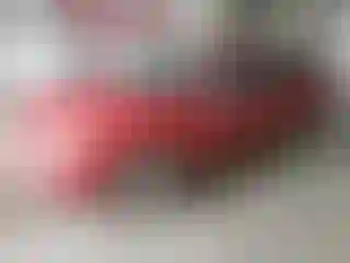 Vehicle Image- 2009 Ford Focus