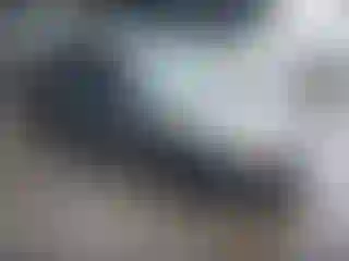 Vehicle Image- 2009 Ford Focus