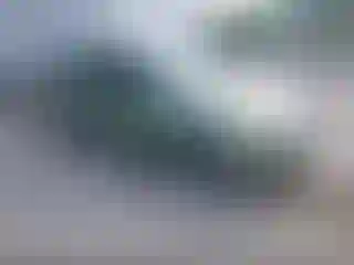 Vehicle Image- 2008 Ford Focus