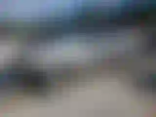 Vehicle Image- 2008 Ford Focus