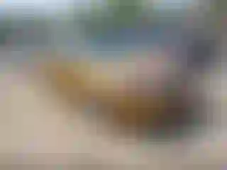 Vehicle Image- 2009 Ford Focus