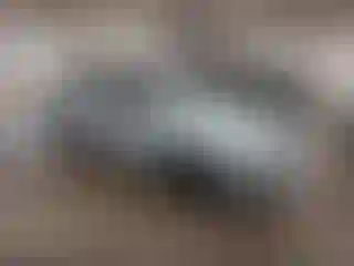 Vehicle Image- 2008 Ford Focus