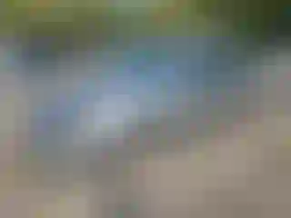 Vehicle Image- 2008 Ford Focus