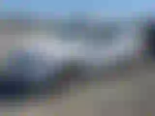 Vehicle Image- 2008 Ford Focus