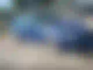Vehicle Image- 2009 Ford Focus
