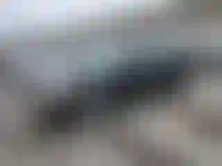 Vehicle Image- 2009 Ford Focus