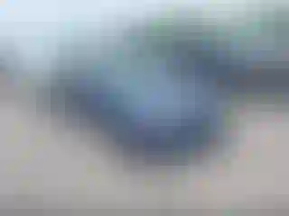 Vehicle Image- 2009 Ford Focus