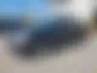 Vehicle Image- 2009 Ford Focus