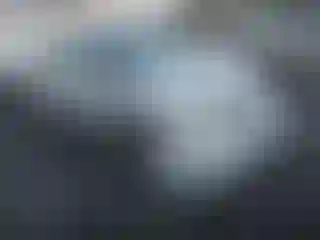 Vehicle Image- 2009 Ford Focus