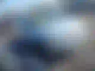 Vehicle Image- 2008 Ford Focus