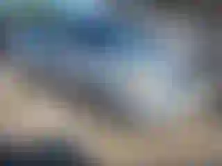 Vehicle Image- 2008 Ford Focus