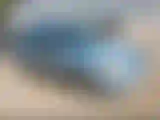 Vehicle Image- 2008 Ford Focus