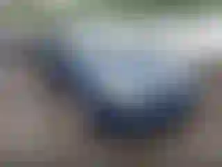 Vehicle Image- 2009 Ford Focus