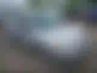 Vehicle Image- 2009 Ford Focus