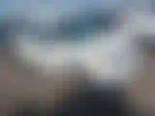 Vehicle Image- 2009 Ford Focus