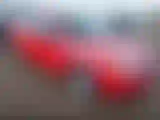 Vehicle Image- 2008 Ford Focus