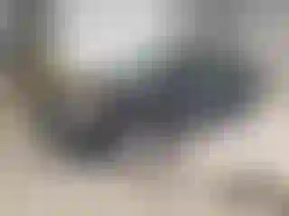 Vehicle Image- 2008 Ford Focus