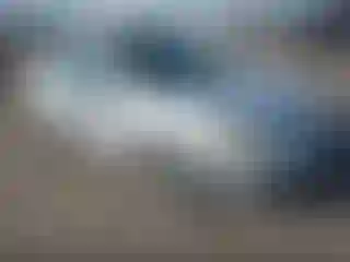 Vehicle Image- 2008 Ford Focus