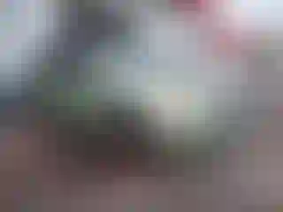 Vehicle Image- 2008 Ford Focus