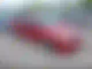Vehicle Image- 2009 Ford Focus