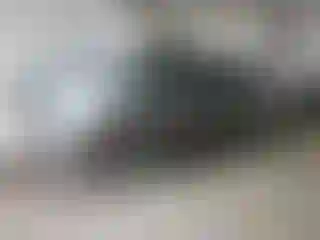 Vehicle Image- 2009 Ford Focus